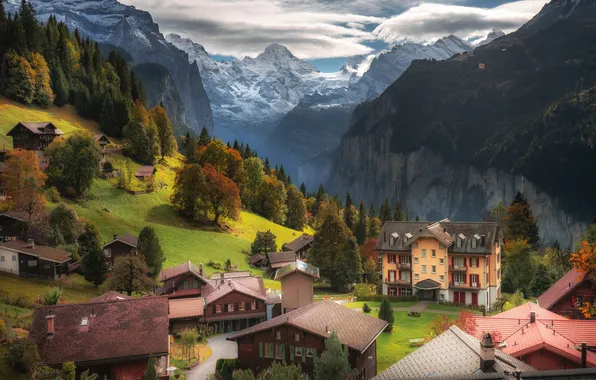 Картинка деревья, горы, дома, Швейцария, деревня, Switzerland, Bernese Alps, Бернские Альпы