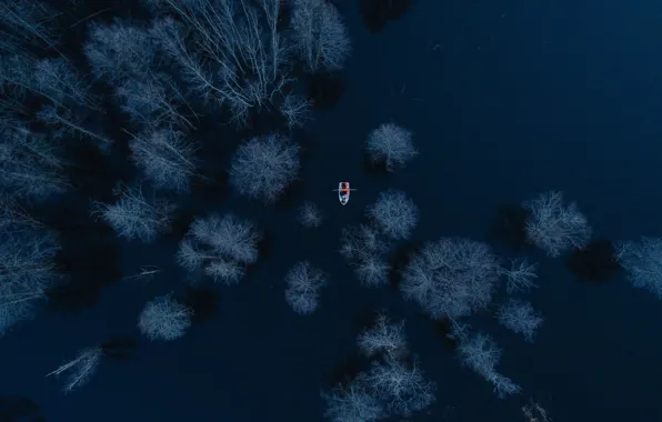 Деревья, озеро, лодка, сумерки, вид сверху