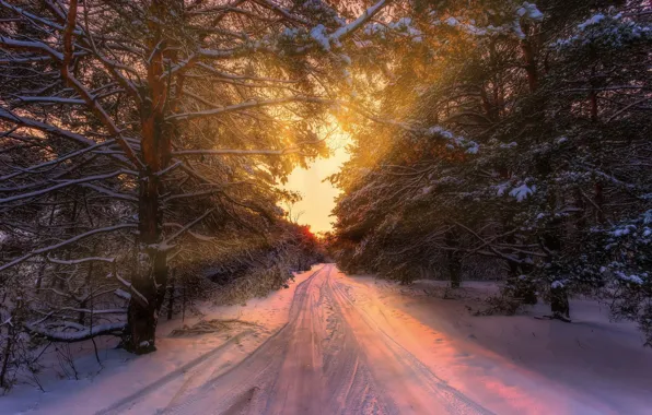 Зима, дорога, лес, закат, Aleksei Malygin