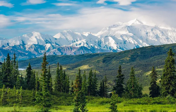 Деревья, горы, природа, Аляска, США