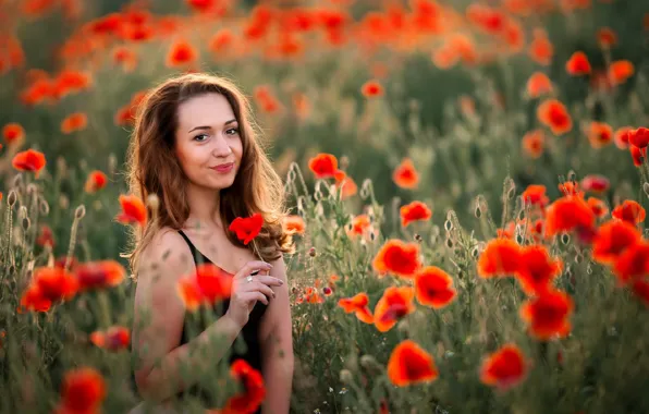 Картинка поле, взгляд, девушка, природа, маки, шатенка, боке, Ларина Юлия