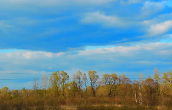 Осень, небо, облака