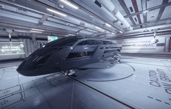 Космический корабль, бункер, Elite: Dangerous