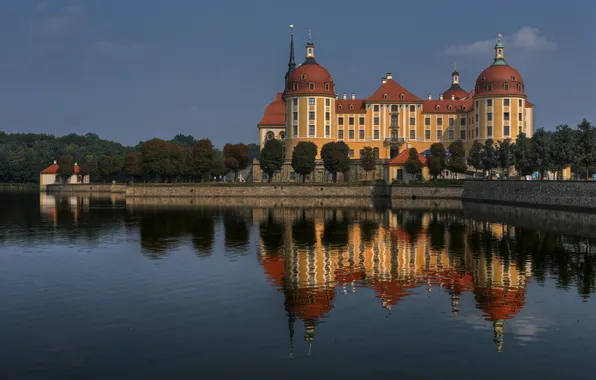 Вода, отражение, Германия, Germany, Moritzburg Castle, Замок Морицбург