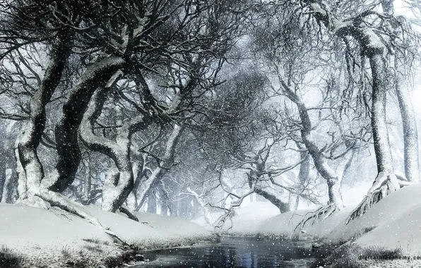 Картинка зима, белый, снег, деревья, ветки