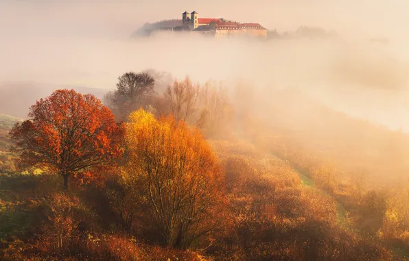 Осень, листья, деревья, туман, Природа, Bieganski Patryk