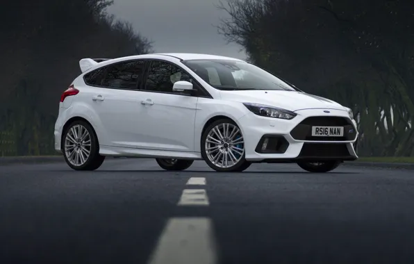 Картинка Ford, Focus, White, Road, RS