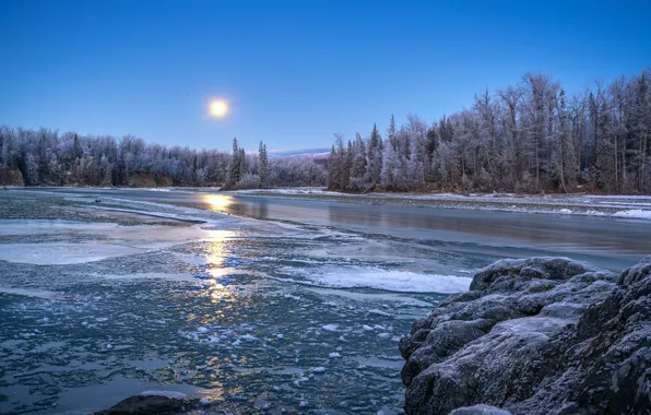 Картинка зима, лес, снег, берег, водоем
