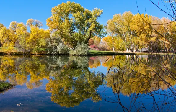 Осень, небо, деревья, озеро, пруд, парк, отражение
