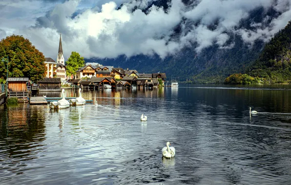Картинка облака, озеро, здания, дома, Австрия, лебеди, Austria, Hallstatt
