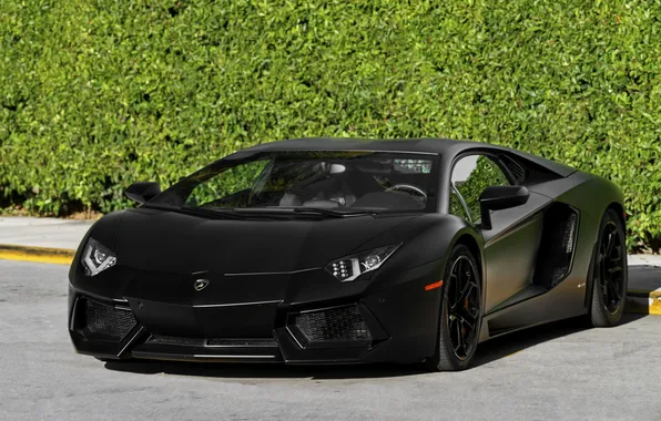Картинка Lamborghini, supercar, black, Aventador, lp700-4, luxury, exotic, matte