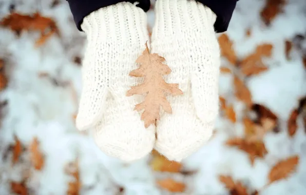 Картинка зима, лист, руки