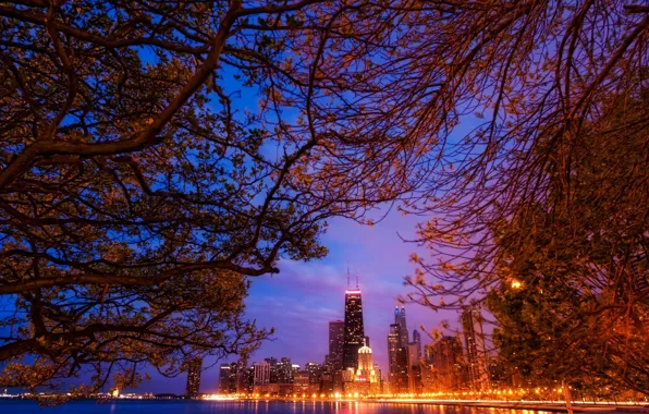 Картинка пейзаж, ночь, ветки, огни, небоскребы, америка, чикаго, Chicago