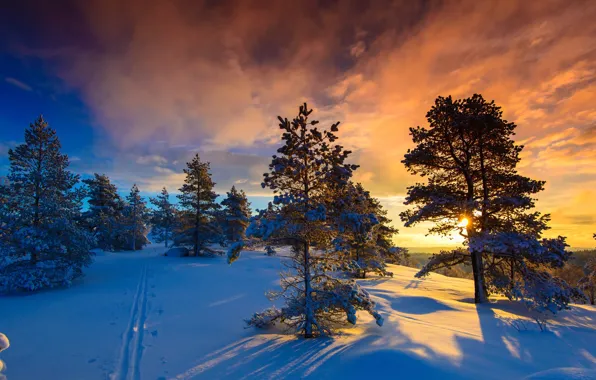 Зима, снег, мороз, Норвегия, и солнце, Naglestadheia, день чудесный