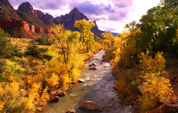 Картинка осень, лес, небо, деревья, горы, тучи, река, камни