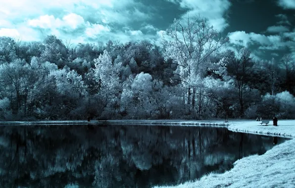 Картинка лес, небо, облака, деревья, Озеро, эффект
