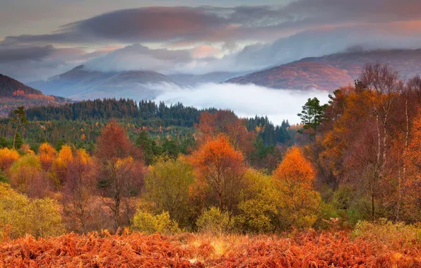 Осень, деревья, горы, Шотландия, Национальный парк Лох Ломонд и Троссачс