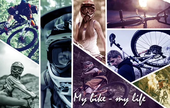 Bicycle, bike, cycle, wheel, mount, pushbike, pushbicycle