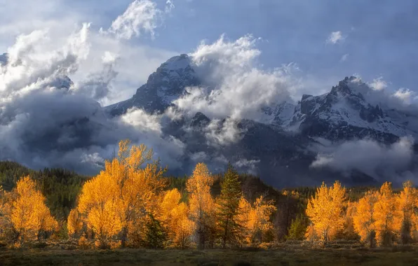 Картинка осень, облака, деревья, горы, Вайоминг, Wyoming, Гранд-Титон, Grand Teton National Park