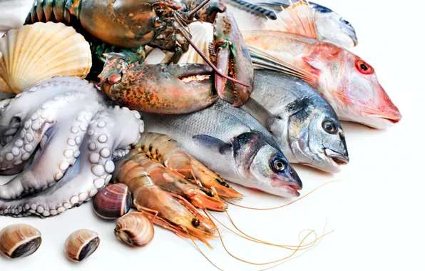 Рыба, осьминог, омар, креветки, морепродукты