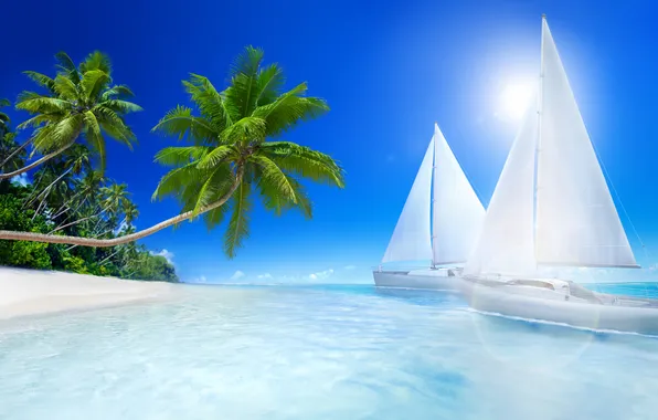 Картинка море, пляж, тропики, пальмы, отдых, beach, sea, парусники