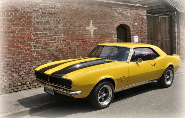 Camaro, 1967, chevy