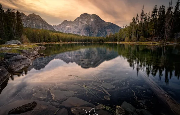 Лес, деревья, горы, озеро, камни, скалы, Grand Teton National Park, Leigh Lake