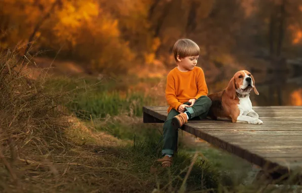 Картинка осень, природа, животное, доски, собака, мальчик, ребёнок, пёс