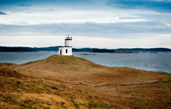 Sky, birds, Lime Kiln Lighthouse