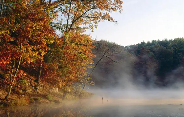 Картинка осень, лес, деревья, туман, озеро