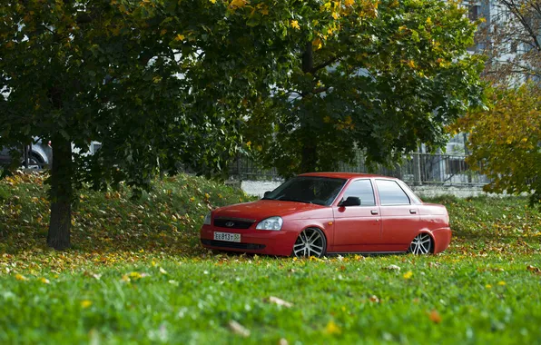 Машина, авто, трава, дерево, auto, LADA, Priora, ВАЗ