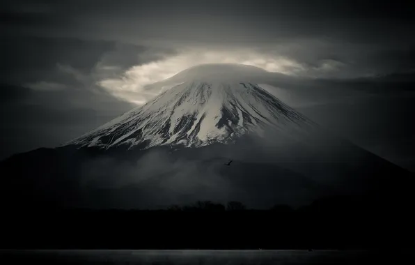 Картинка птица, гора, Япония, облако, Фудзияма, стратовулкан, 富士山, остров Хонсю