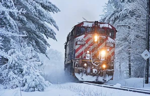Картинка зима, лес, снег, деревья, поезд, локомотив