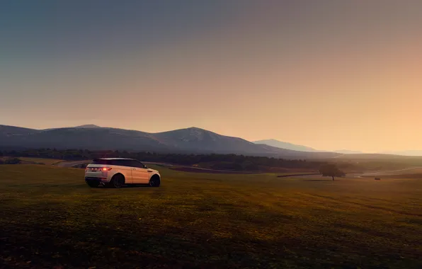 Картинка поле, машина, закат, холмы, Land Rover, Range Rover, Evoque