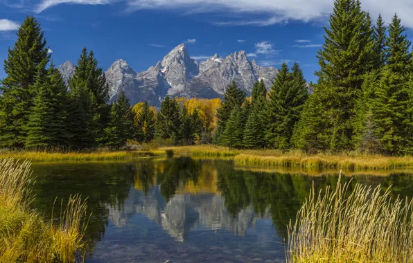 Картинка осень, лес, трава, деревья, горы, озеро, отражение, США
