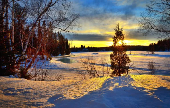 Зима, лес, деревья, пейзаж, закат, природа, озеро, Канада