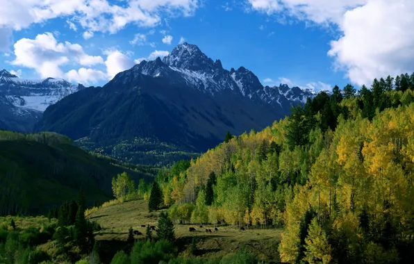 Картинка осень, лес, небо, облака, деревья, горы, природа, холмы