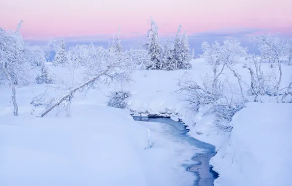 Картинка зима, снег, деревья, ручей