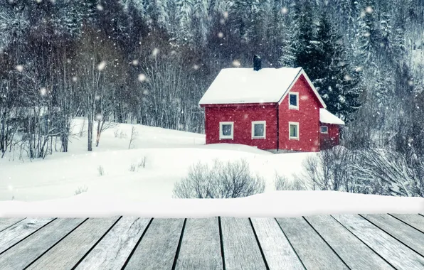 Картинка зима, снег, деревья, пейзаж, река, елки, домик, house