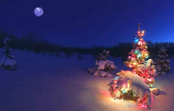 Картинка снег, елка, гирлянда