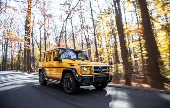 Осень, Mercedes-Benz, скорость, AMG, G-Class, Gelandewagen, G63, 2017