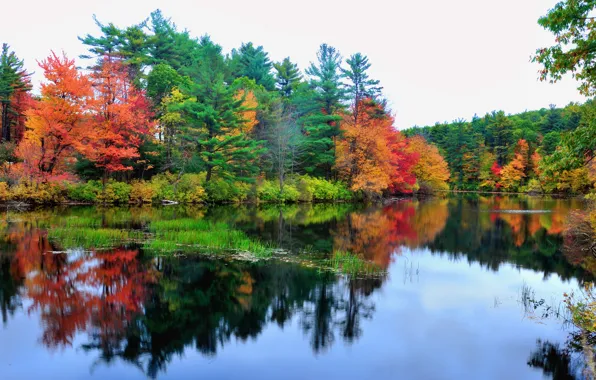 Осень, лес, небо, вода, деревья, озеро, отражение, река