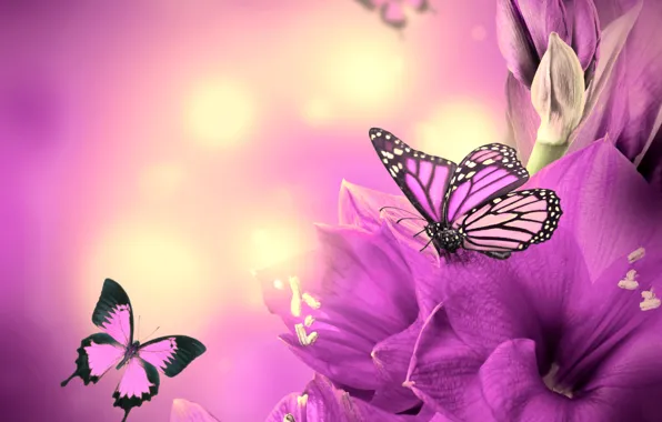 Бабочки, цветы, flowers, purple, butterflies