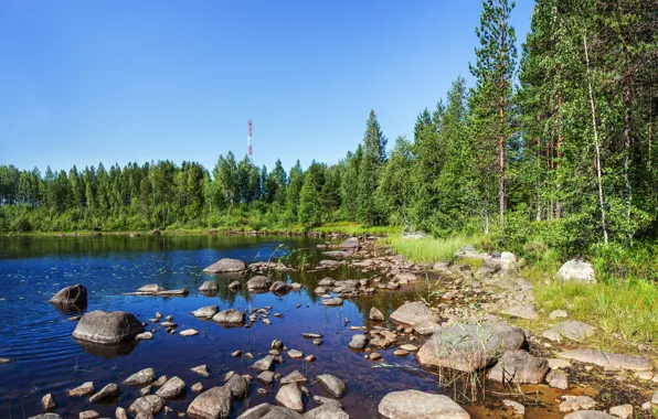 Лето, трава, вода, река, камни, вышка, dibr