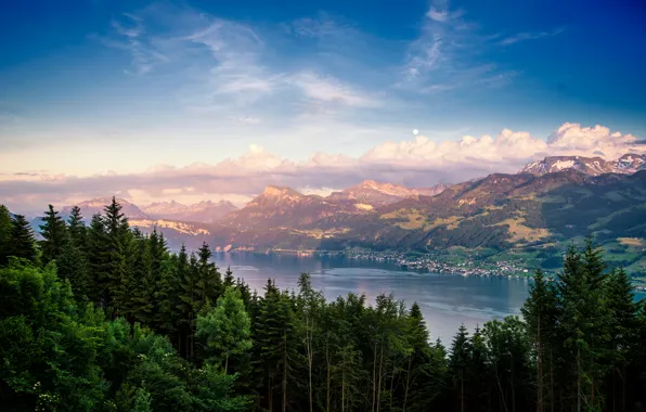 Лес, горы, природа, озеро, Switzerland, Lake Zurich