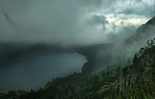 Картинка лес, облака, туман, озеро, сопки