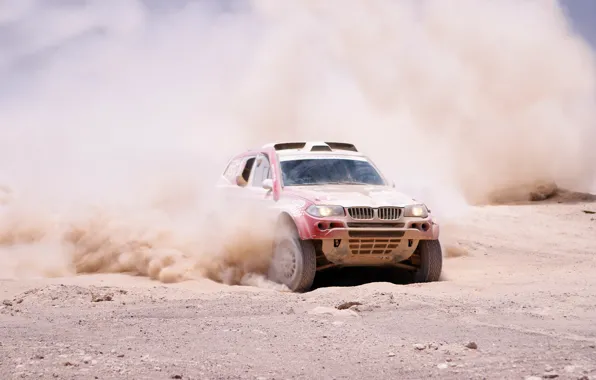 Пыль, BMW, Спорт, БМВ, Rally, Dakar, Внедорожник, Ралли