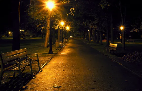Картинка скамейка, парк, Ночь, дорожка, фонарь