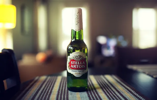 Бутылка, пиво, stella artois