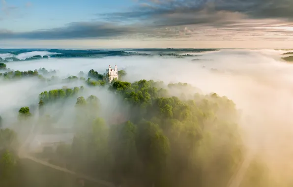 Дорога, лес, облака, деревья, туман, рассвет, даль, утро